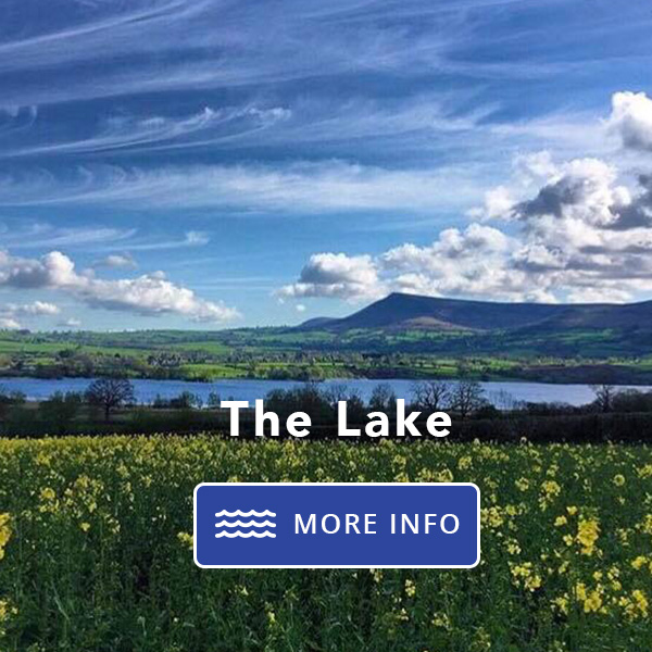 lakeside services thelake